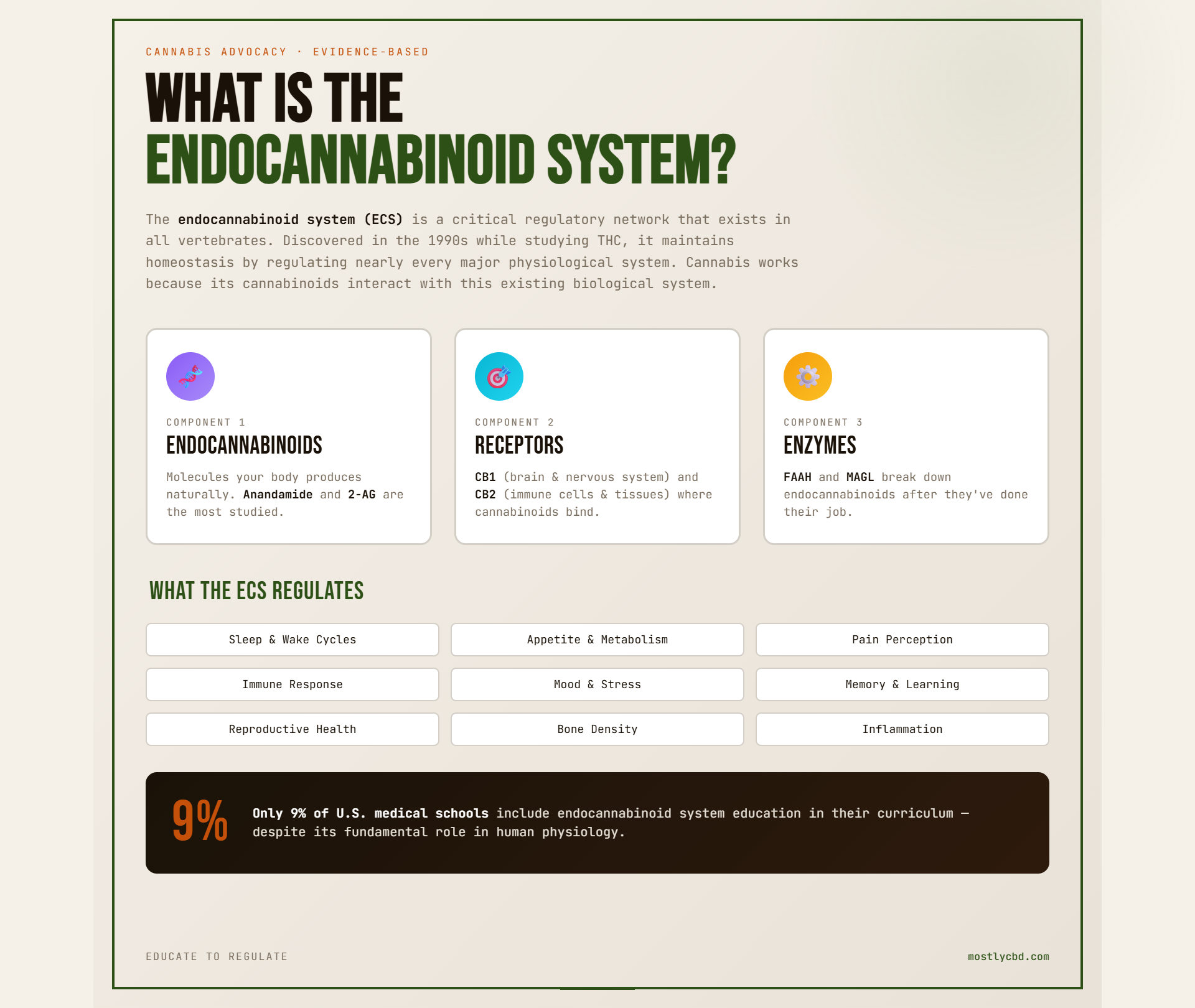 What is the Endocannabinoid System?
